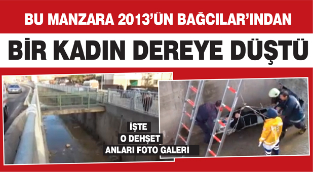 Karşıya geçmek istedi ama…